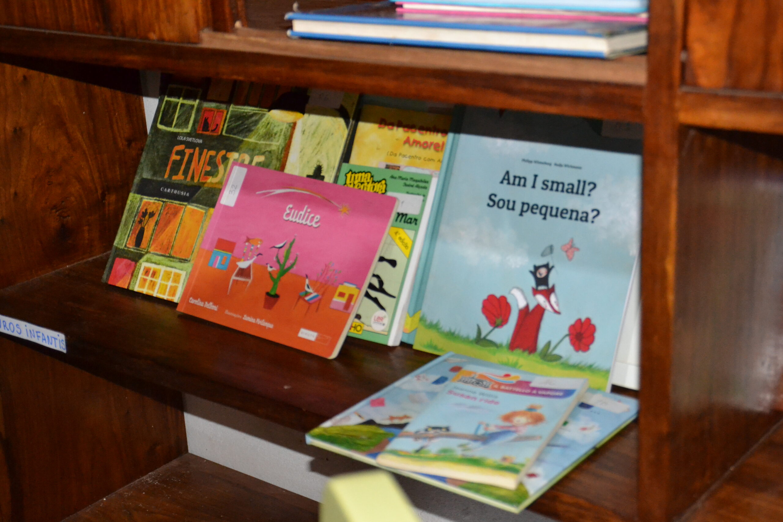 Biblioteca de Mafuiane em 2025 Ano de Impacto em Mafuiane